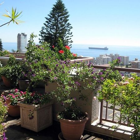 123 Ocean View Drive Apartment Κέιπ Τάουν Εξωτερικό φωτογραφία