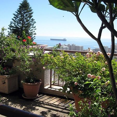 123 Ocean View Drive Apartment Κέιπ Τάουν Εξωτερικό φωτογραφία