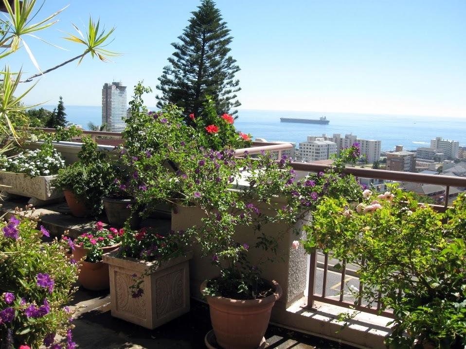 123 Ocean View Drive Apartment Κέιπ Τάουν Εξωτερικό φωτογραφία