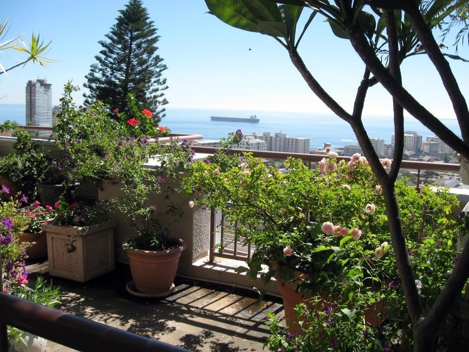 123 Ocean View Drive Apartment Κέιπ Τάουν Εξωτερικό φωτογραφία